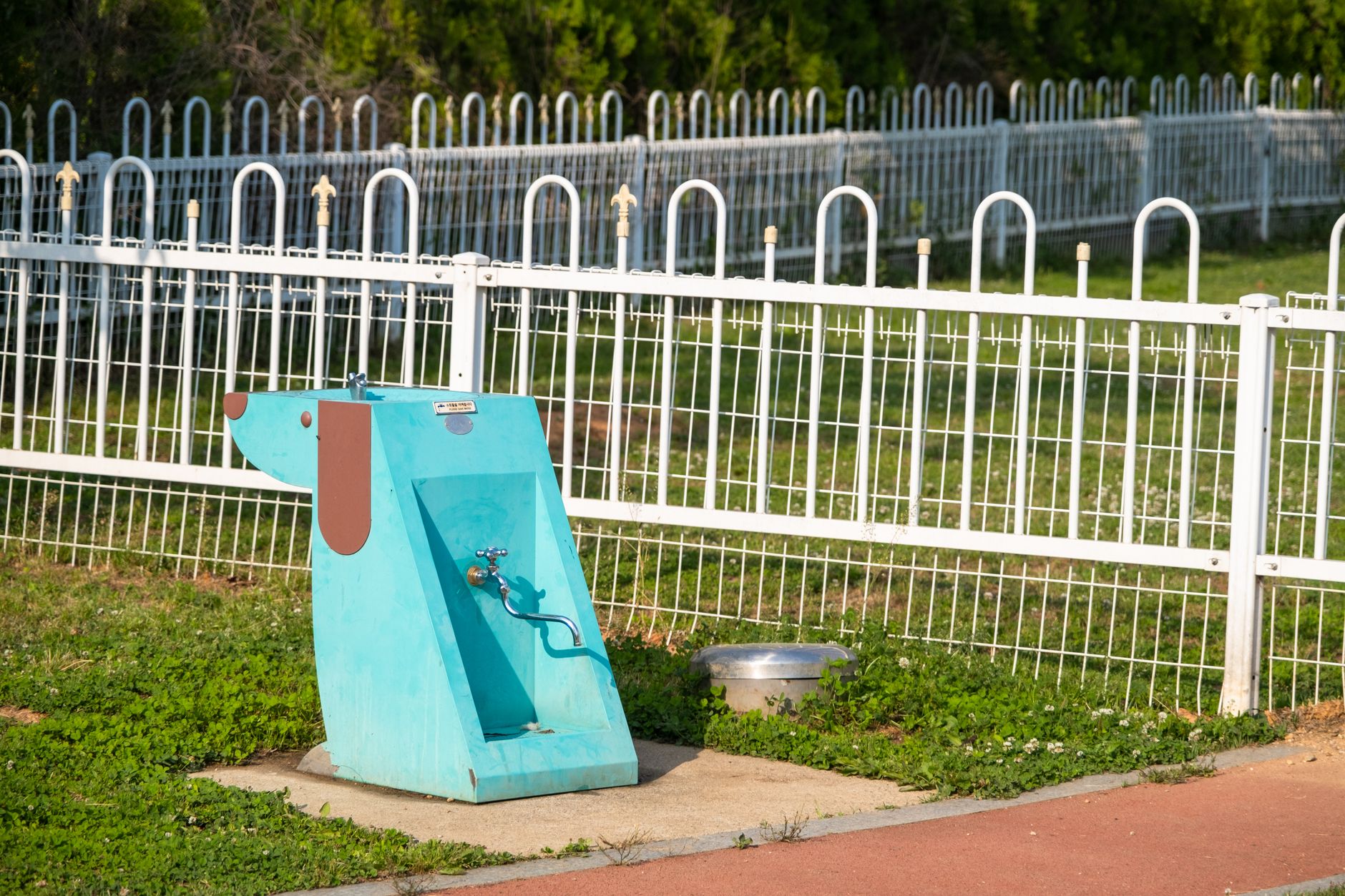 A unique dog-shaped water fountain in a fenced park, perfect for pet hydration.